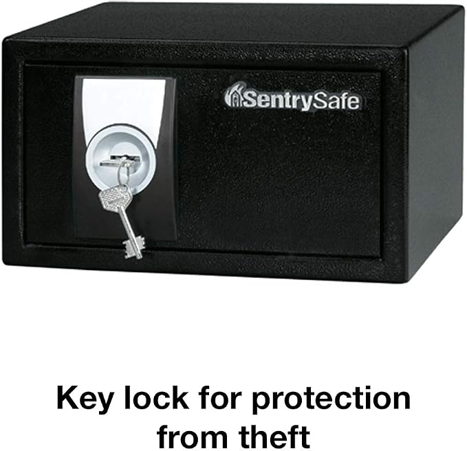 SentrySafe Black Security Safe with Key Lock for Home, Office, or Dorm holds Money, Jewelry, Documents, and Other Valuables, 0.35 Cubic Feet, X031