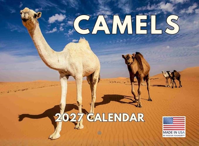 Camel Calendar 2027 Monthly Wall Calender 12 Month