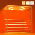 Acrylic Display Case with Adjustable LED Light, 6 Tier Clear Display Box Dustproof Showcase for Action Figures, Collectibles and Mini Toys, Assembly Display Cabinet(Wood 15.5*12.5*16.7in)