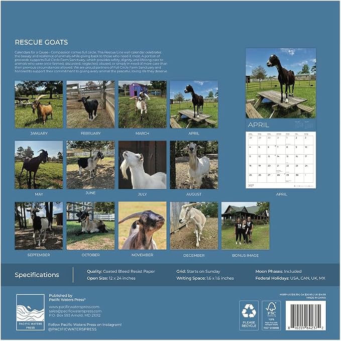 Rescue Goats 2027 Wall Calendar, 12 x 24 Hanging Pacific Waters Press