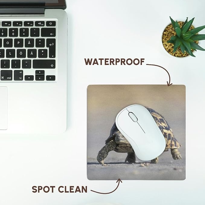 3dRose Danita Delimont - Turtles - Botswana, Chobe NP, Leopard Tortoise, Savuti Marsh-AF05 PSO0186 - Paul Souders - Mousepad (mp_75882_1)