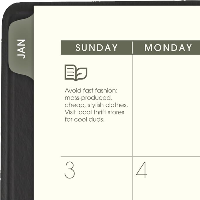 AT-A-GLANCE 2027 Appointment Book Planner, Weekly & Monthly, 5" x 8", Hourly, Recycled, Black (70100G0527)