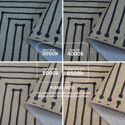 Lahome Boho 3x5 Outdoor Rugs for Entry, Washable Easy Jute Rug
