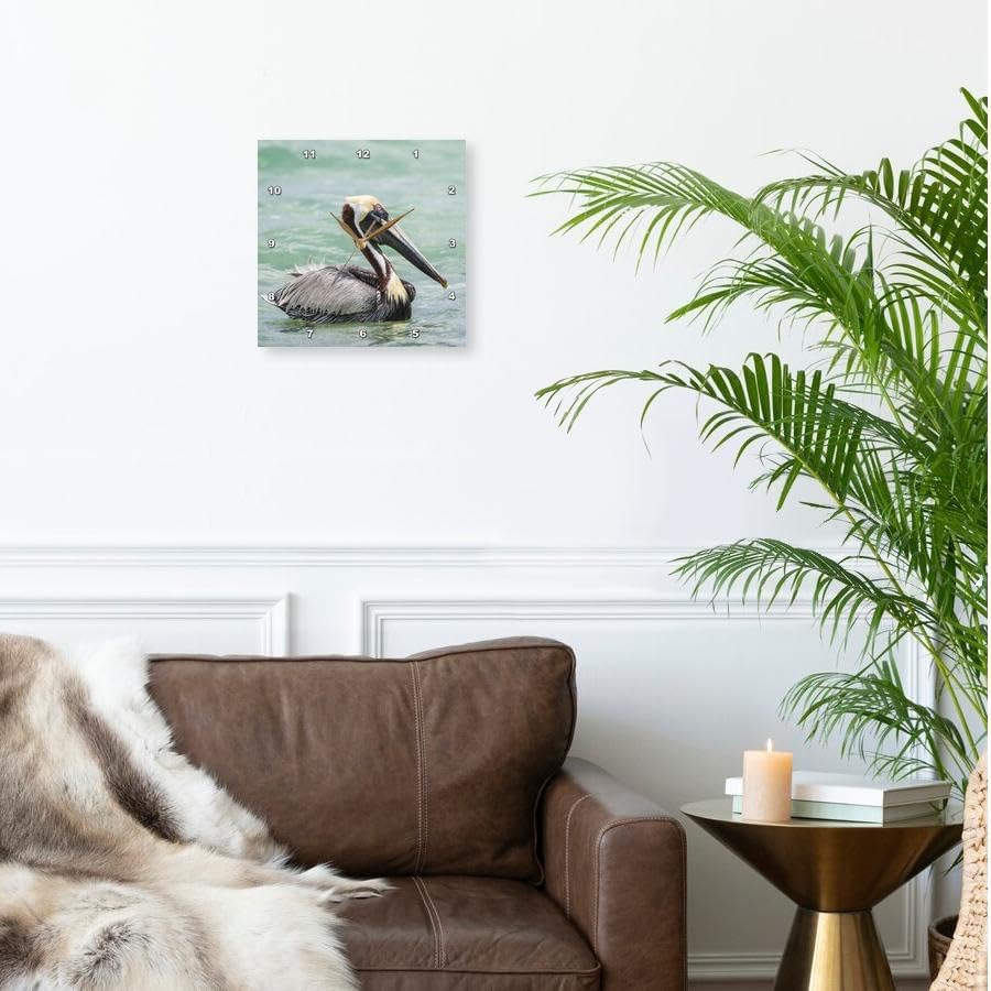 3dRose Wall Clock Silent - 13 inch - Belize, Ambergris Caye. Adult Brown Pelican Floats on Caribbean Sea. - Animals
