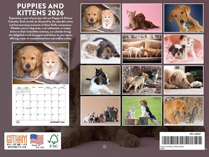 Puppies and Kittens Calendar 2026 Puppy Kitten Kitty Monthly Wall Calender 12 Month | American Made In The USA