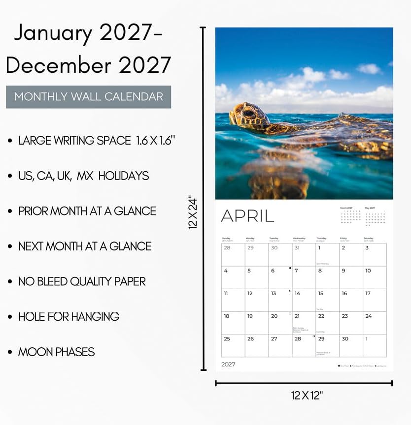 Sea Turtles 2027 Wall Calendar, 12 x 24 Hanging Pacific Waters Press