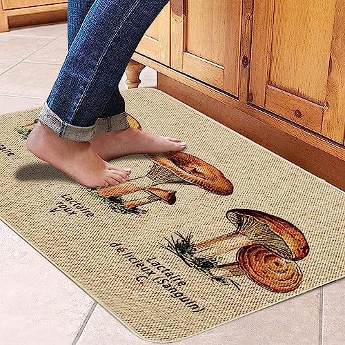 Mloabuc Kitchen Rugs and Mats,Washable Non-Slip Floor Mats Door Mat