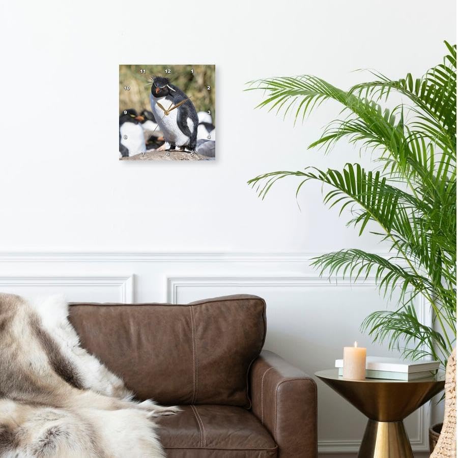 3dRose Wall Clock Silent - 13 inch - Rockhopper Penguin, Falkland Islands - Animals