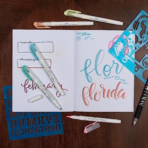 Zebra Pen MILDLINER Brush Pen, Assorted Fluorescent Colors, Dual Tip, 5-Pk