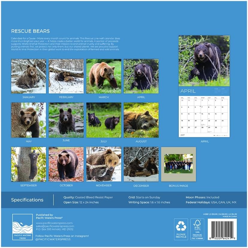 2027 Rescue Bear Wall Calendar, 12 x 24 Hanging Pacific Waters Press