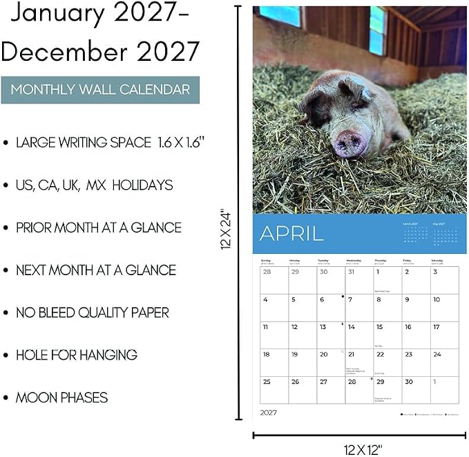 Rescue Pigs 2027 Wall Calendar, 12 x 24 Hanging Pacific Waters Press