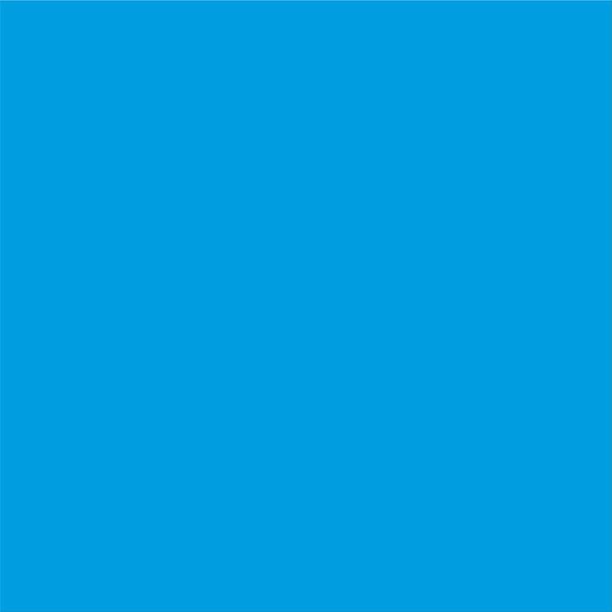 PARLAIM 3/4 Inch Round Permanent Adhesive Color-Code Dot Stickers,1000 Stickers Roll dots Label Dispenser Box Green Circle Stickers Labels (Blue)