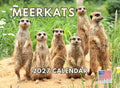 Meerkat Calendar 2027 Monthly Wall Calender 12 Month