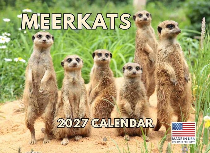 Meerkat Calendar 2027 Monthly Wall Calender 12 Month