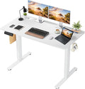 48 x 24 in Electric Standing Desk - Memory Height Adjustable | Ergonomic Sit-to-Stand Rising Computer Table Gaming Workstations with 2 Hooks and Wire Hole for Home Office, White
