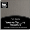 Dolphin—12x12 Textured Cardstock | 80lb Textured Gray Scrapbook Paper | Premium Cardstock for Cricut Cutting | 25 Sheets