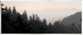 Woodland Forest Silhouette, 7 x 17 Inch Mounted Print on Wall Plaque | Stupell Industries · By Lori Deiter · Ready to hang · Nature inspired decor for living room · office · or hallway