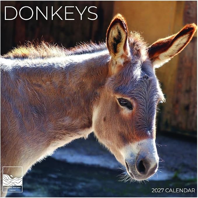 Donkeys 2027 Wall Calendar, 12 x 24 Hanging Pacific Waters Press