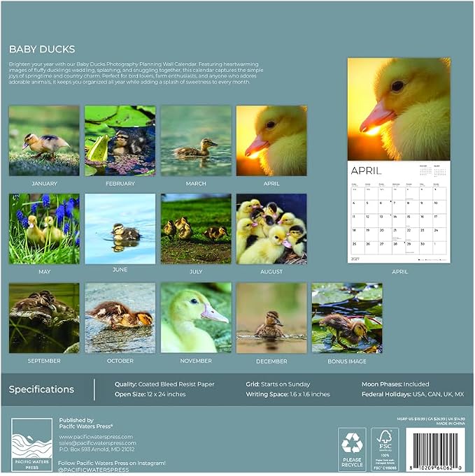 Baby Ducks 2027 Wall Calendar, 12 x 24 Hanging Pacific Waters Press