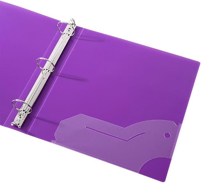 Filexec 50003-6492 6492,1" Frosted Ring Binder,Set of 6,6 Assorted Colors,Blueberry,Strawberry,Grape,Lime,Lemon,Tangerine,(Pack of 8)