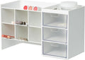 Blue Ginkgo Stackable Desk & Pen Organizer, White, Made in Korea | Multi-Compartment. 3 Transparent Drawers. Easy Access.
