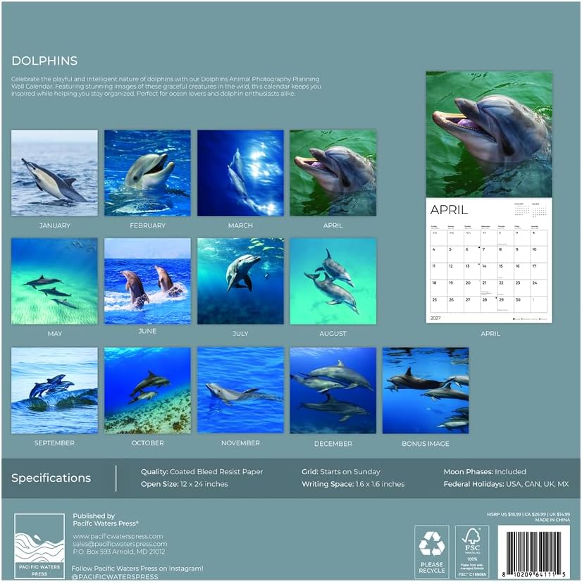 Dolphins 2027 Wall Calendar, 12 x 24 Hanging Pacific Waters Press