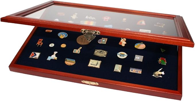 Pin Case for Display of Disney Pins, Hard Rock Pins, Etc
