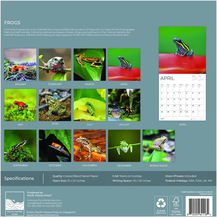 Frogs 2027 Wall Calendar, 12 x 24 Hanging Pacific Waters Press