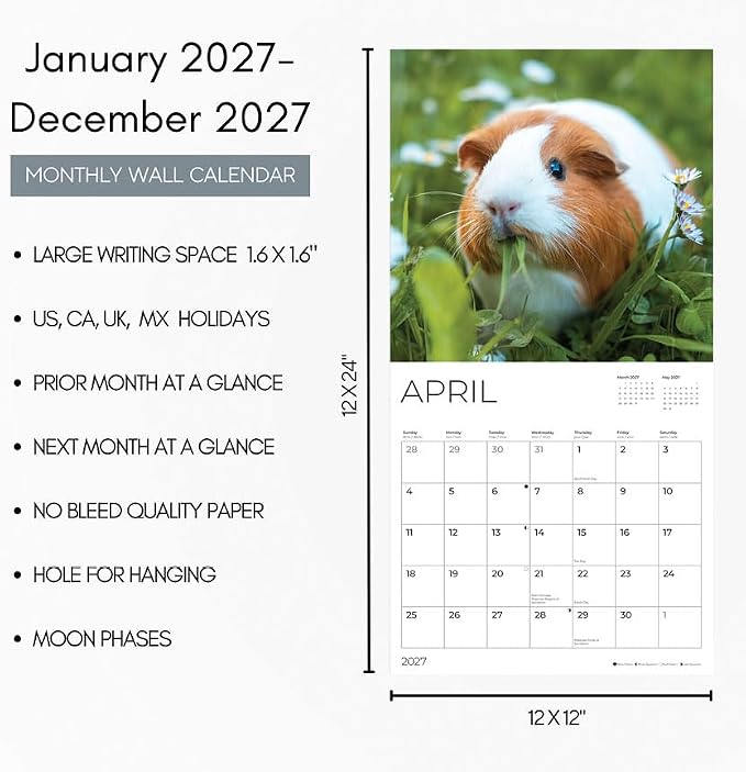 Guinea Pigs 2027 Wall Calendar, 12 x 24 Hanging Pacific Waters Press