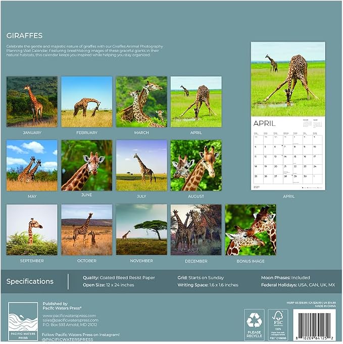 Giraffes 2027 Wall Calendar, 12 x 24 Hanging Pacific Waters Press