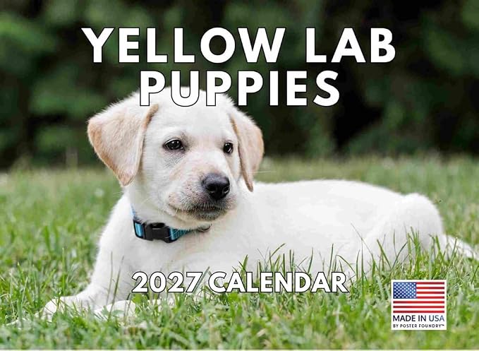 Yellow Lab Puppy Calendar 2027 Monthly Wall Calender 12 Month