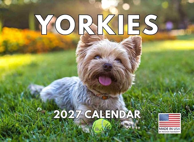 Yorkie Calendar 2027 Yorkshire Terrier Monthly Wall Calender 12 Month