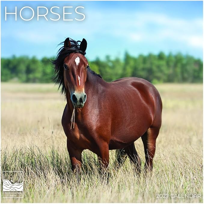 Horses 2027 Wall Calendar, 12 x 24 Hanging Pacific Waters Press