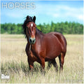 Horses 2027 Wall Calendar, 12 x 24 Hanging Pacific Waters Press