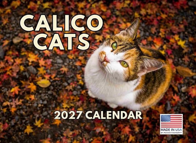 Calico Cat Calendar 2027 Monthly Wall Calender 12 Month
