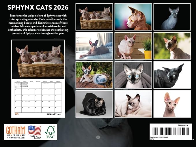 Sphynx Cat Calendar 2026 Hairless Cat Gifts Monthly Wall Calender 12 Month | American Made In The USA