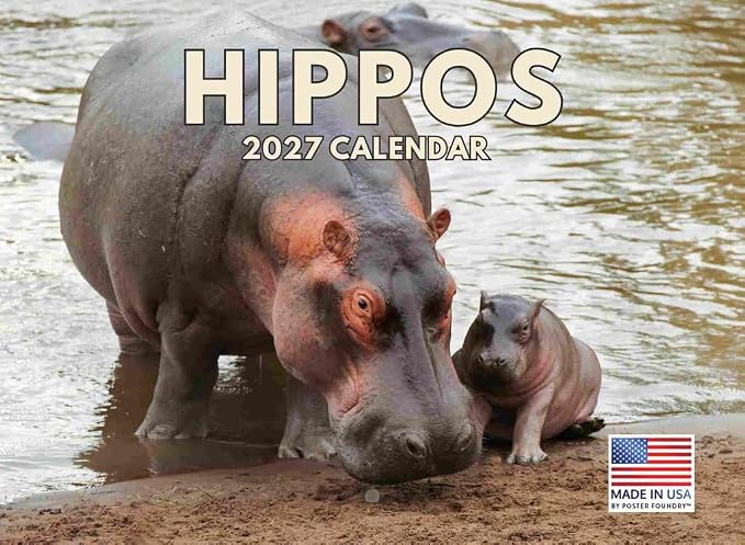 Hippo Calendar 2027 Hippopotamus Hippos Monthly Wall Calender 12 Month