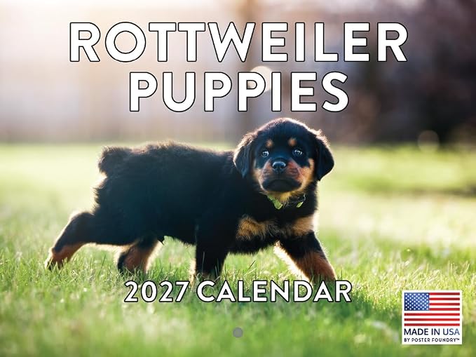 Rottweiler Puppy Calendar 2027 Monthly Wall Calender 12 Month