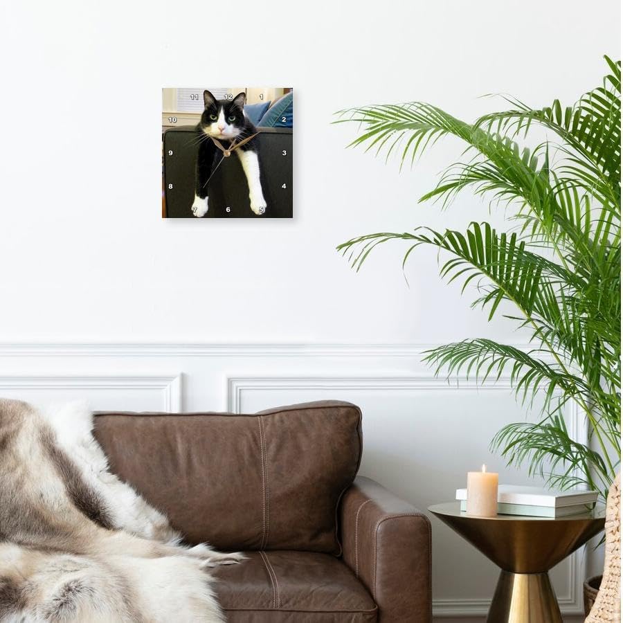 3dRose dpp_23450_3 Black and White Cat with Nothing To-Do Wall Clock, 15 by 15-Inch