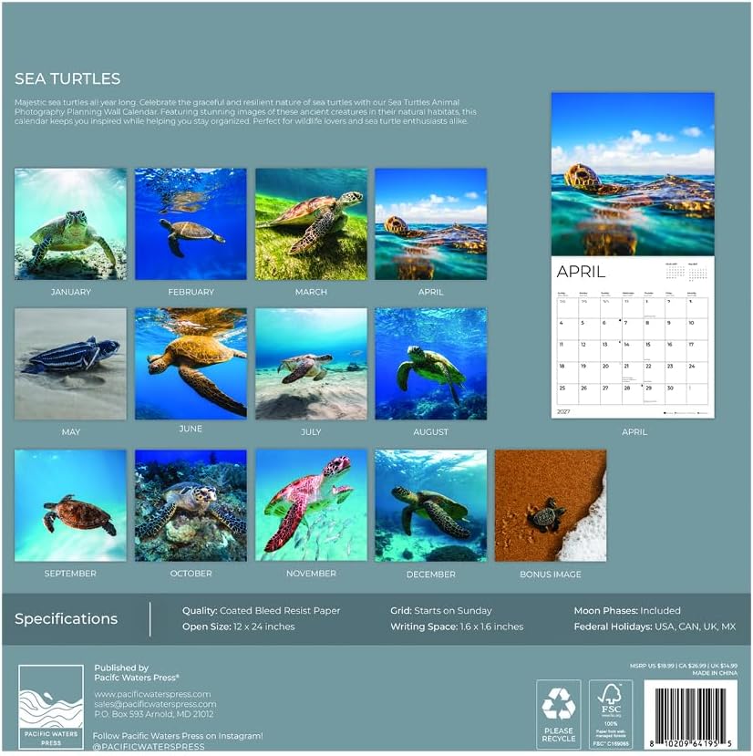 Sea Turtles 2027 Wall Calendar, 12 x 24 Hanging Pacific Waters Press