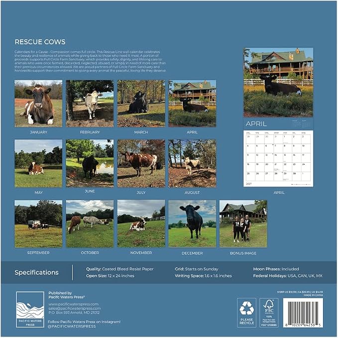Rescue Cows 2027 Wall Calendar, 12 x 24 Hanging Pacific Waters Press