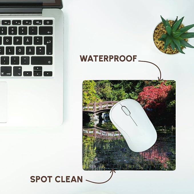 3dRose Desk Organization Mouse Pad, British Columbia, Victoria, Autumn, Maple Trees - CN02 TEG0118 - Terry Eggers, 8" x 8" (mp_135205_1)