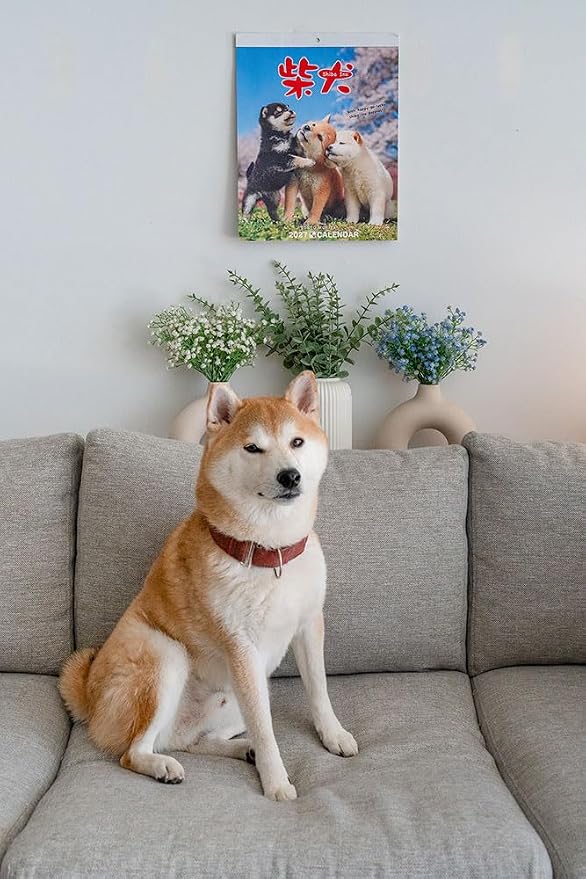 Shiba Inu Wall Calendar 2027, Cute Puppy Photos, Japanese Scenery