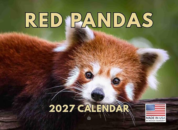 Red Panda Calendar 2027 Monthly Wall Calender 12 Month