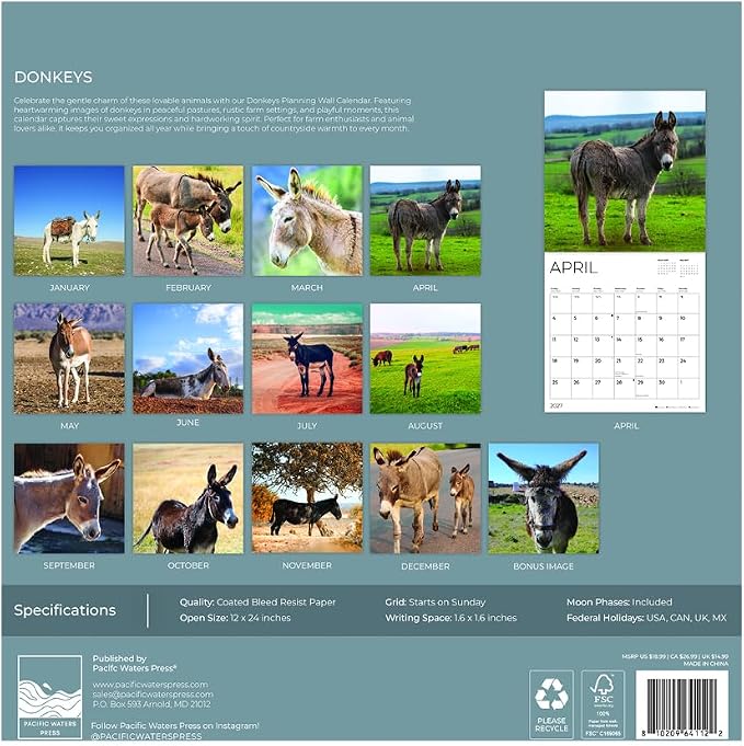Donkeys 2027 Wall Calendar, 12 x 24 Hanging Pacific Waters Press