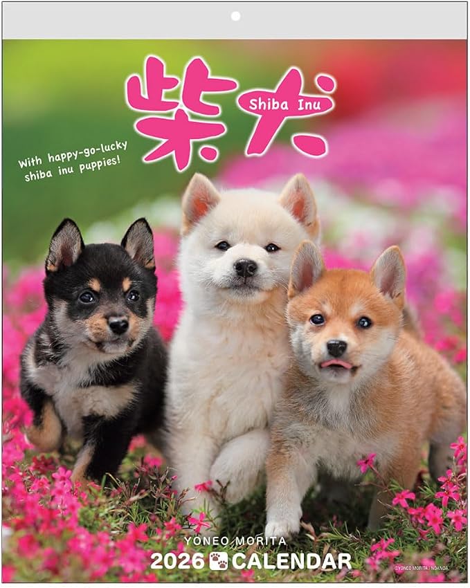Shiba Inu Wall Calendar 2026-2027 Set, Cute Puppy Photos, Japanese Scenery