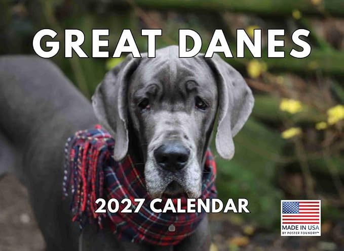 Great Dane Calendar 2027 Monthly Wall Calender 12 Month