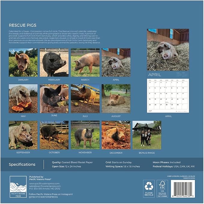 Rescue Pigs 2027 Wall Calendar, 12 x 24 Hanging Pacific Waters Press