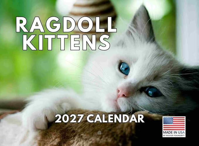 Ragdoll Calendar 2027 Kitten Monthly Wall Calender 12 Month