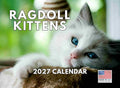 Ragdoll Calendar 2027 Kitten Monthly Wall Calender 12 Month